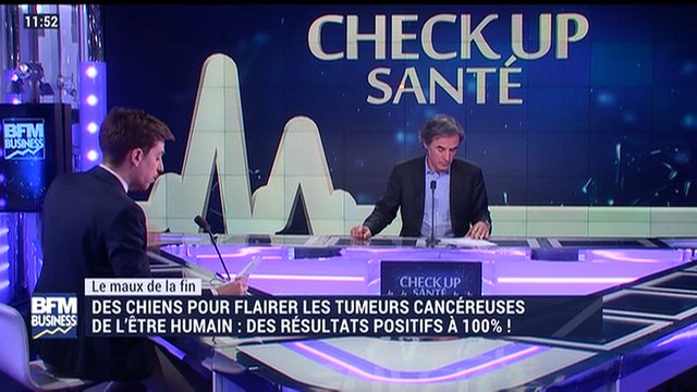 Le maux de la fin: Des chiens pour flairer les tumeurs cancéreuses de l'être humain - 11/03