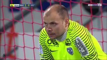 All Goals & Highlights HD - Nancy 1-2 Lille - 11.03.2017