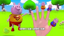 Peppa Pig 3D Finger Family | Nursery Rhymes | 3D Animation In HD From Binggo Channel