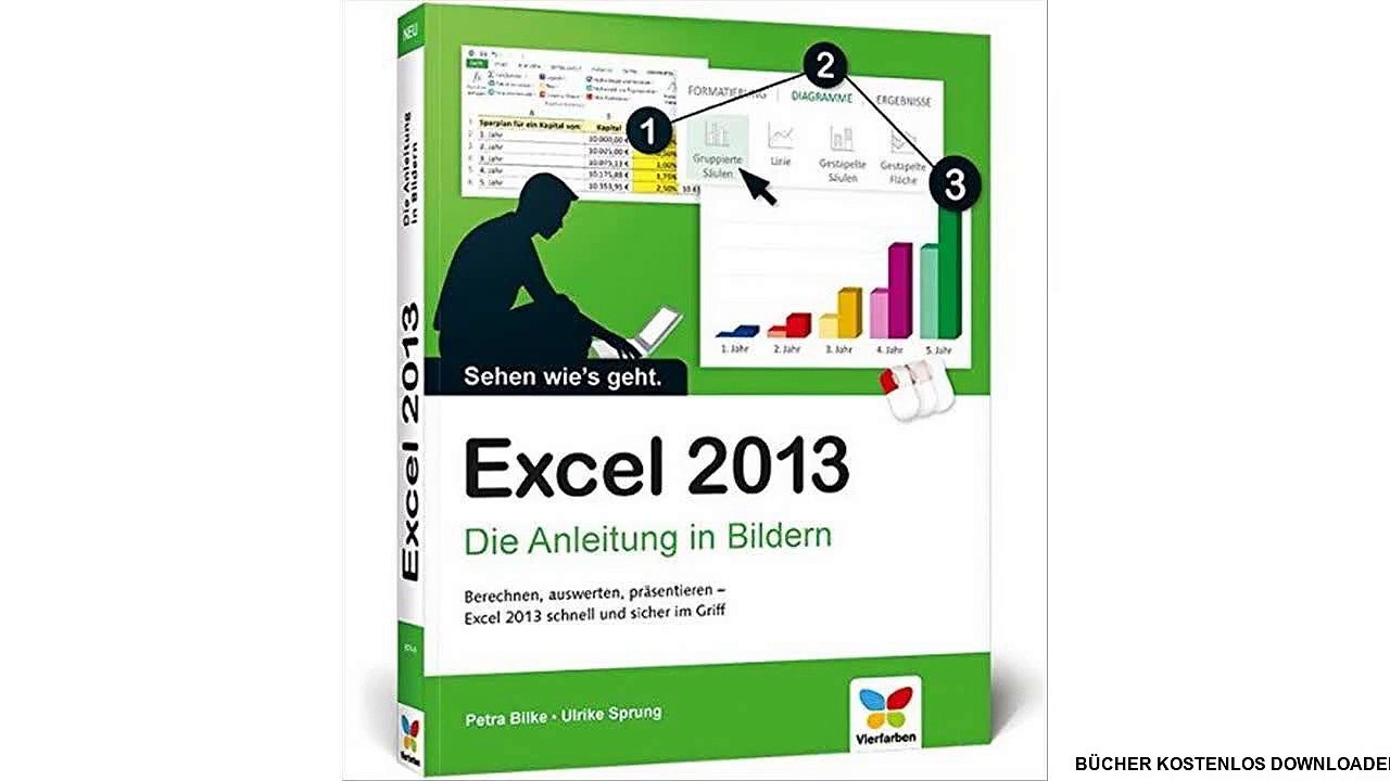 [PDF Download] Excel 2013: Die Anleitung in Bildern