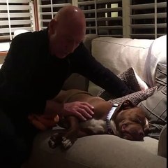 Sir-Patrick-Stewart-petting-his-foster-dog-to-sleep