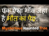 भारत का एक ऐसा गाँव जंहा है मौत का पेढ़ -- Mysterious Tree in Kalan village Hindi - duniya ka rahasya