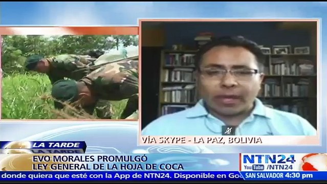 “El 80 % de la producción de hoja de coca termina en manos del narcotráfico”: Franco Gamboa, analista político sobre ley promulgada en Bolivia
