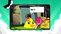 Angry Birds : Lies are more and more (Animation)