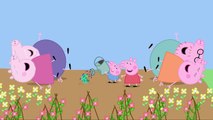 3. мультфильм сборник английский эпизоды Новые функции Пеппа свинья время года 2016
