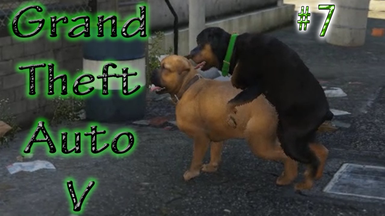GTA 5 # 7 ➲ Chop 2 ➤ Gay Dog Sex..?..!