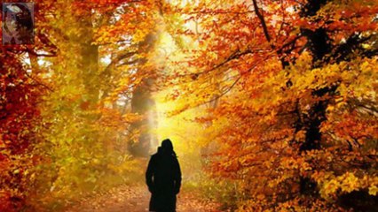 TIỄN MÙA THU ĐI by Trầm Thiên Thu