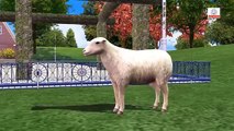 Mary Had A Little Lamb Nursery Rhyme With Lyrics - Cartoon Animation Rhymes & Songs for Ch