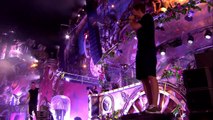 Tremor (Live at Tomorrowland 2014) Dimitri Vegas & Like Mike, Martin Garrix - HD