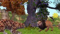 Lion Attacks Video Collection | Lion Attacks Crocodile | Wild Animal Attacks