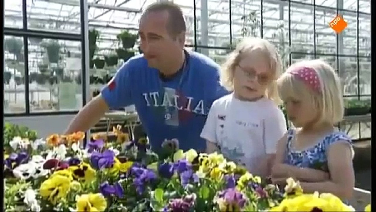 Het Zandkasteel Tekenfilms het Nederlands. Nederlandse Gesproken Nieuwe Afleveringen. Nl F