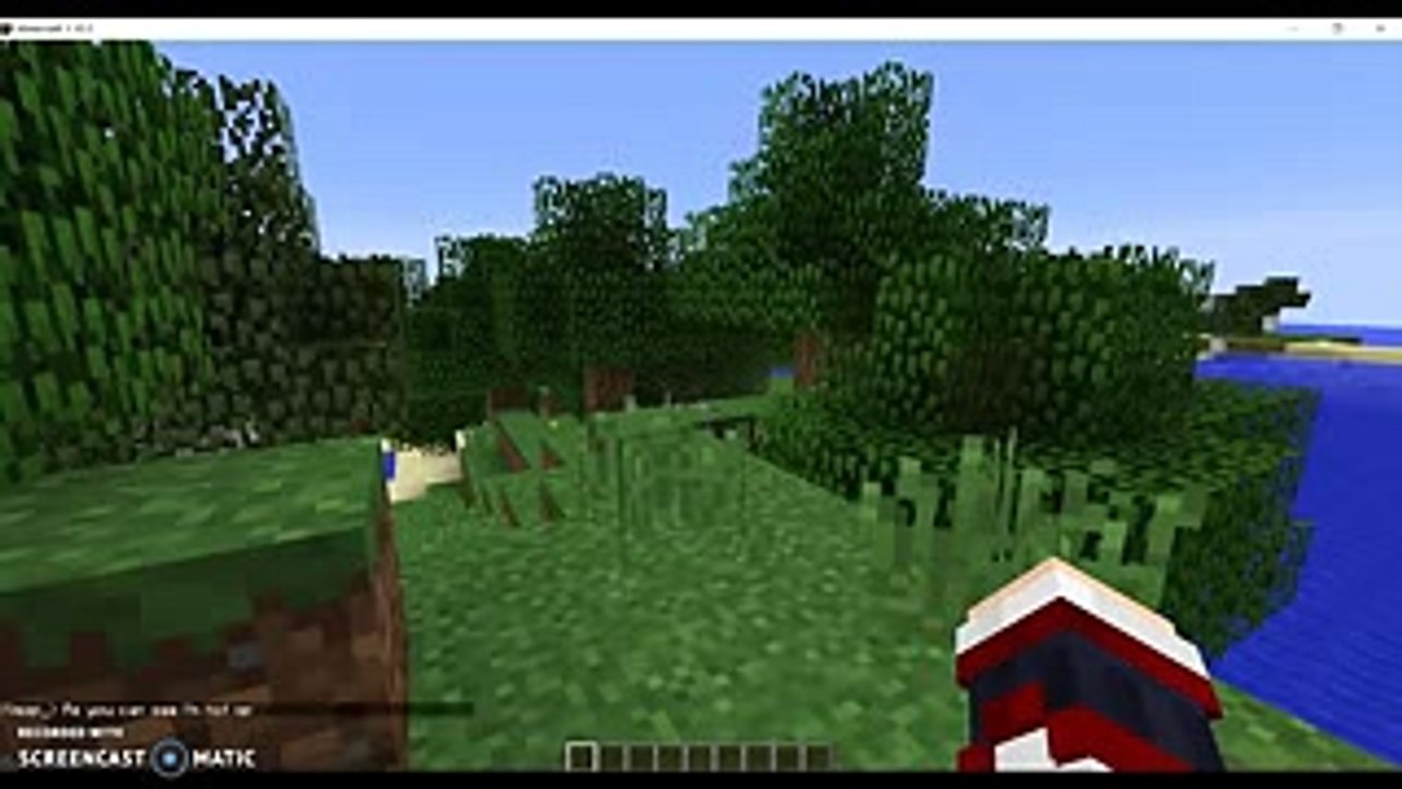 Minecraft Griefing - Force Op