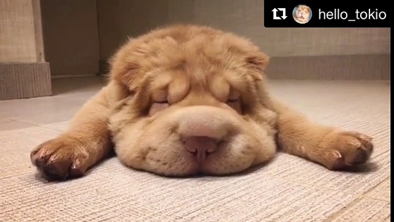 Lazy sunday