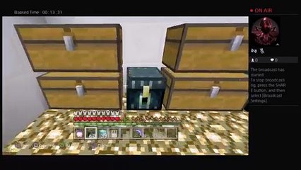 Making a storage room (replaced version) and doing random things (3)
