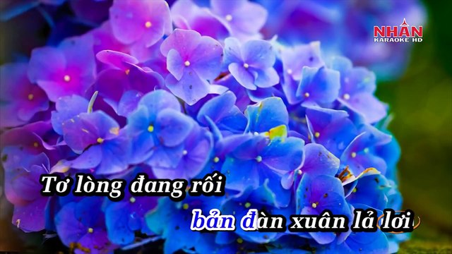 Tôi Chưa Có Mùa Xuân (Karaoke Beat) - Nguyễn Hưng