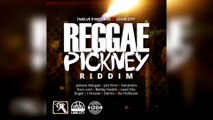 Selekta Faya Gong - Reggae Pickney Riddim mix promo 2017