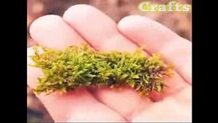 Handmade art from a light bulb ..