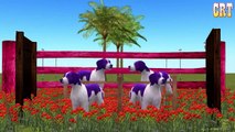 Все животные мультфильм Цвет красочный сборник для Дети питомник рифмы Песня ||