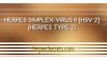 Herpes Simplex 2 Symptoms and Treatments