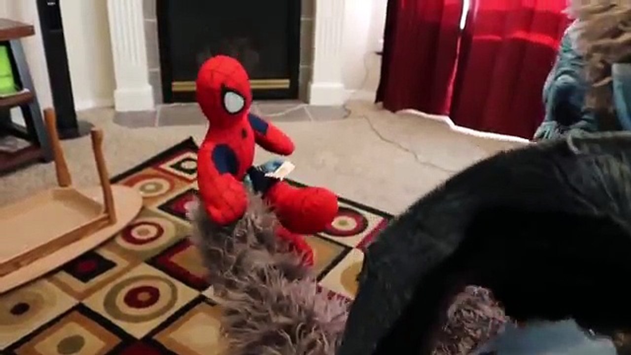 El hombre araña y Mono | En la Vida Real! | Película De Superhéroes | Spiderman Vudú |