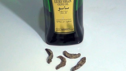 Ganje Pan Ka ilaj l Sar Pe Baal Dobara Ugaane Ke Lie Asan Oil By Arshad