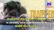 Kriti Sanon, Richa Chaddha, Kartik Aryan, celebs shined at the screening of ‘Trapped’