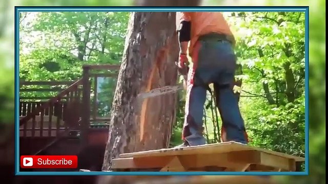 Hebat pohon pinus di depan rumah di sulap menjadi seni lukis seperti hidup keren