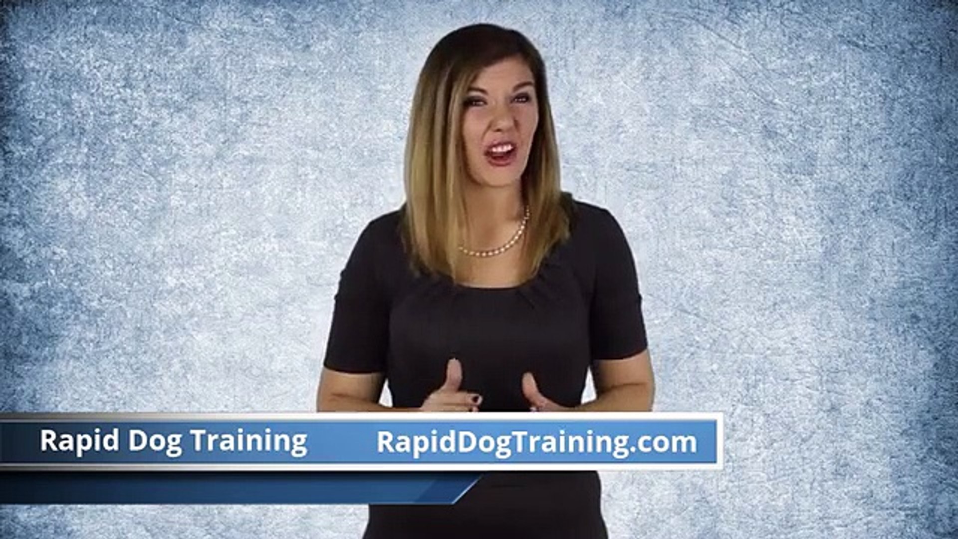 ⁣Rapid Dog Training Advice