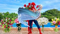 Frozen Elsa and Spiderman distorting mirror blow gum Finger Family Nursery Rhymes Lyrics