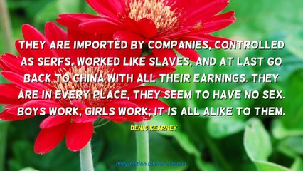Denis Kearney Quotes