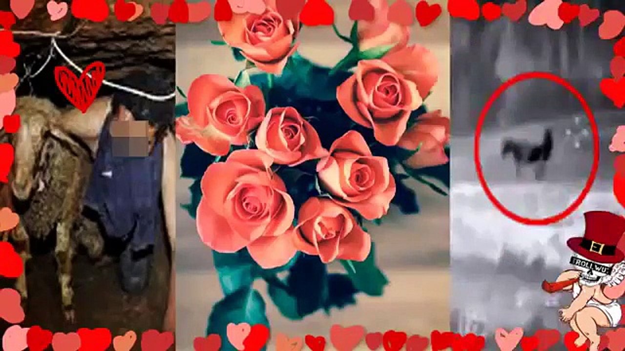 Tommy Zerstört Vallentinstag - TrollwutTV (Reupload)