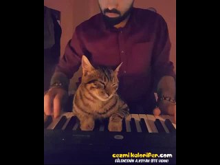 Sahibinin Piyano Çalmasına Eşlik Edip Sevimliliğin Sınırlarını Zorlayan Kedi