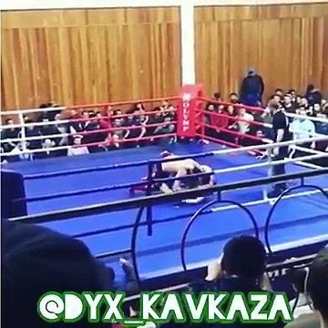 Дагестанцы начали массово избивать русских на чемпионате по ММА