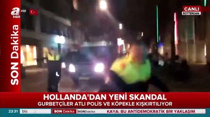 Hollanda Polisinin Türklere Atlar Ve Köpeklerle Saldırma Anı