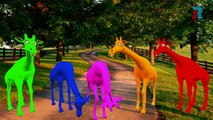 Giraffe Frozen Finger Family Rhymes - 3D Animated || Frozen Cartoon Children Nursery Rhyme