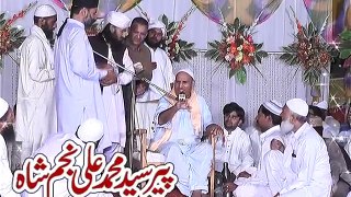 Hazrat Allama Molana Syed Muhammad Ali Najam Shah part 3