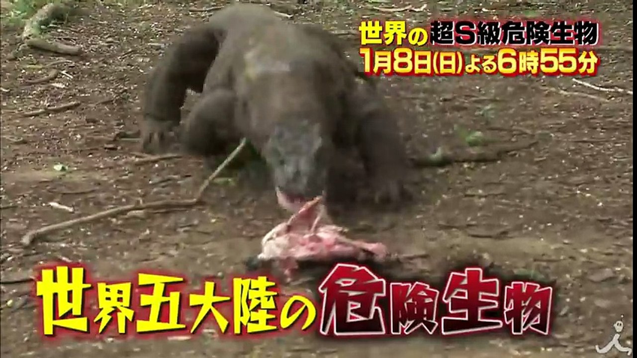危険な! ふしぎな! たのしい! 動物が続々登場! 1/8(日)『世界の超S級危険生物巨大＆大群＆キテレツ 衝撃生物SP』【TBS】