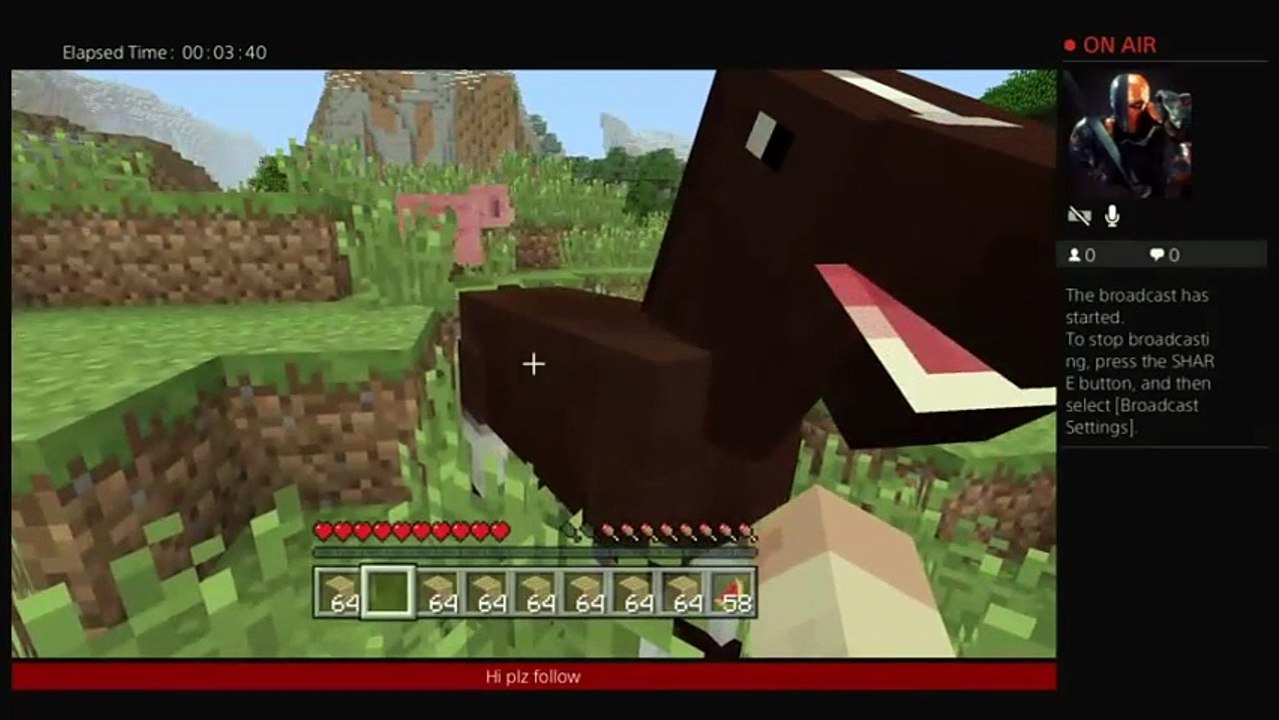 Minecraft (18)