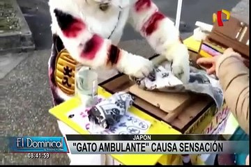 Download Video: Un ‘gato’ vendiendo comida en Japón causa furor en las redes sociales