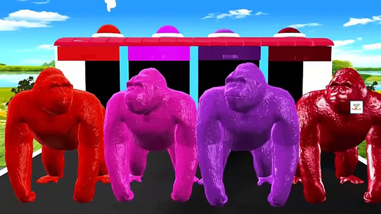 Little Baby Colors Song W/ Gorilla | Finger Family Animal Rhymes for Children | Kids Songs