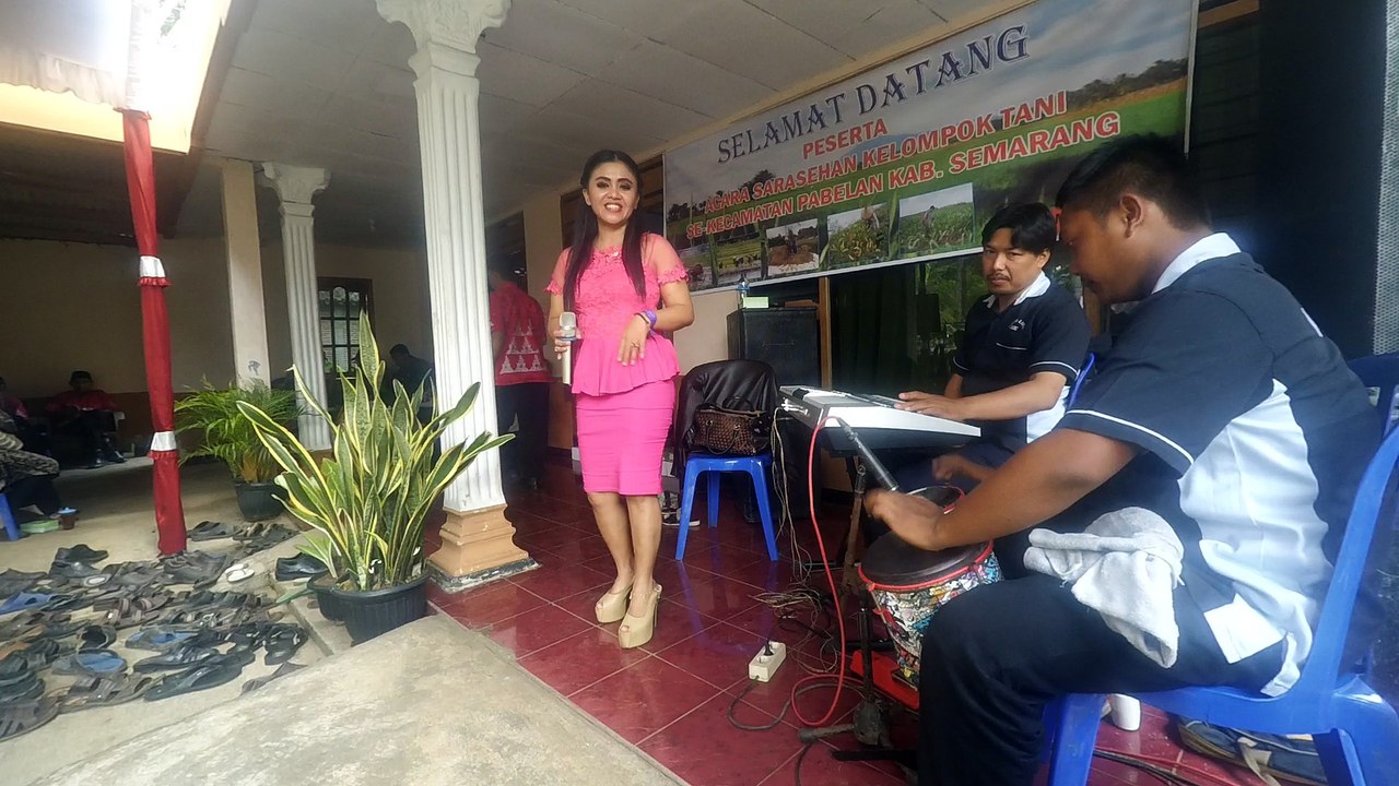 dangdut