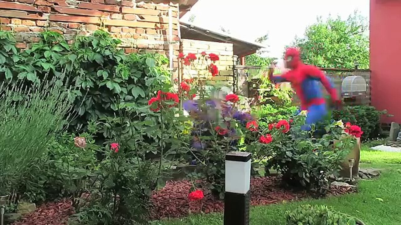 Congelados Elsa vs Limo y Gelli Baff! w/ Spiderman, Bromista, Maléfica Baño! La Diversión De Los Superhéroes