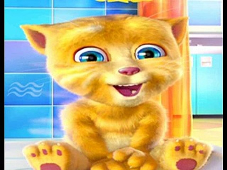 يومي - طيور بيبي  أداء القطة الناطقة