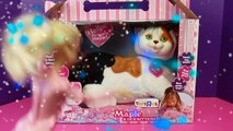 Barbie Magician Makes Puppy Surprise DisneyCarToys Stuffed Dog and Kitty Surprise Toys Mag