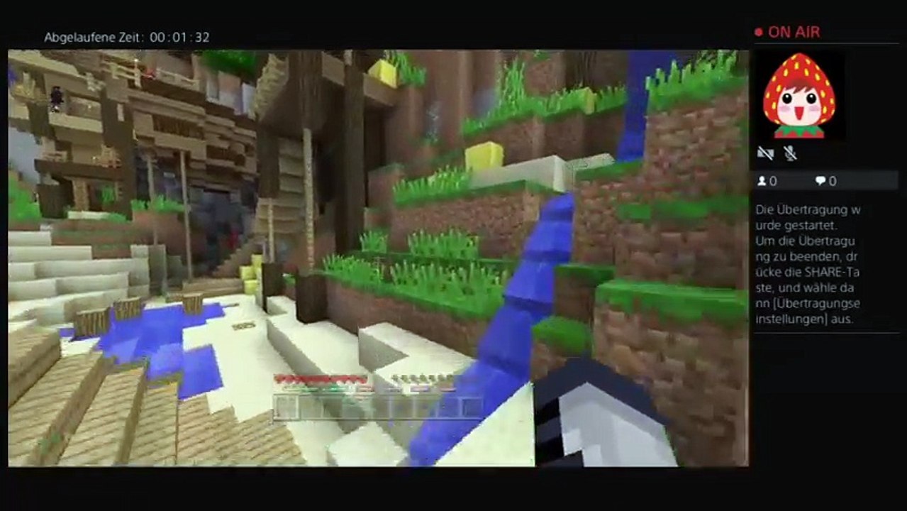 PS4-Live-Übertragung von mir (12)