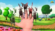 deer Finger Family Nursery Children 3d top Rhymes | Deer 3d Animal