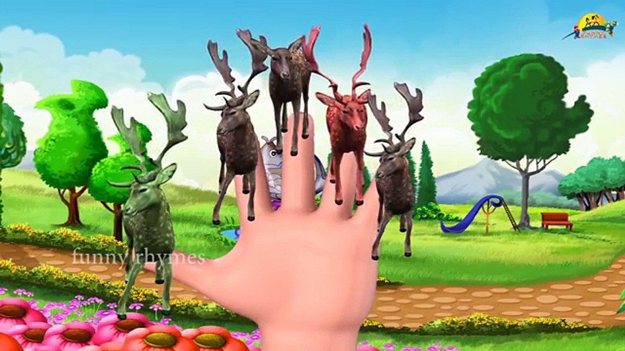 deer Finger Family Nursery Children 3d top Rhymes | Deer 3d Animal