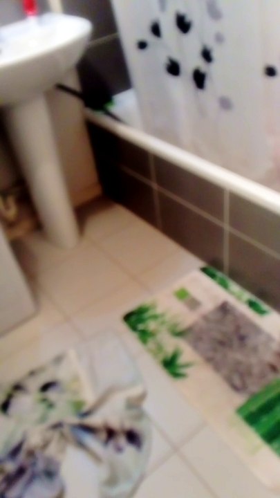Pet Sous La Douche