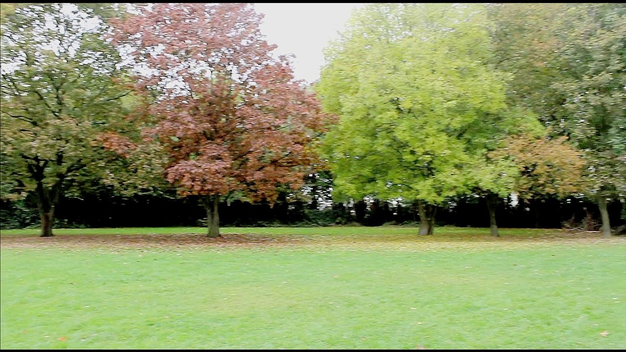 Wegwijsweekend 2016 - AFS Midwest