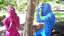 Is Superman DEAD? w/ Spiderman & Frozen Elsa VS Mad Scientist! baby Spiderman Superhero vi